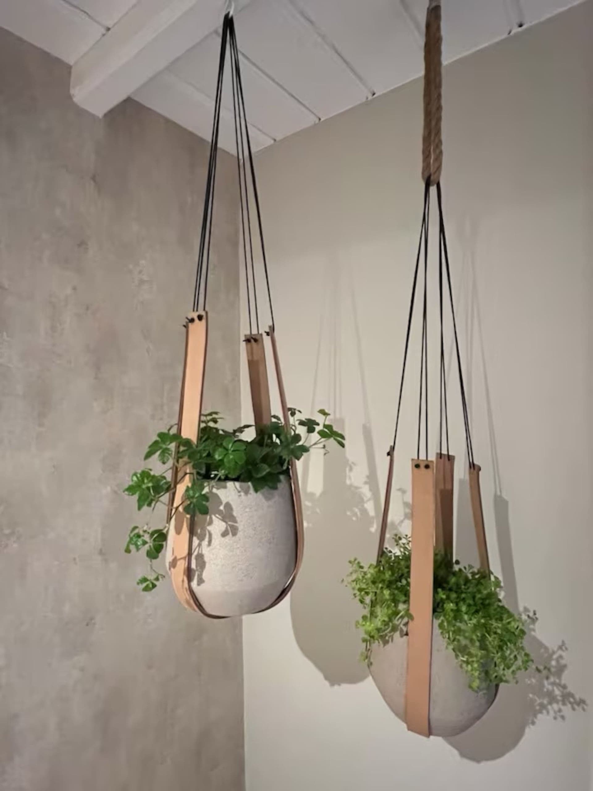 Hangende plantenpotten in de woonkamer van Oester