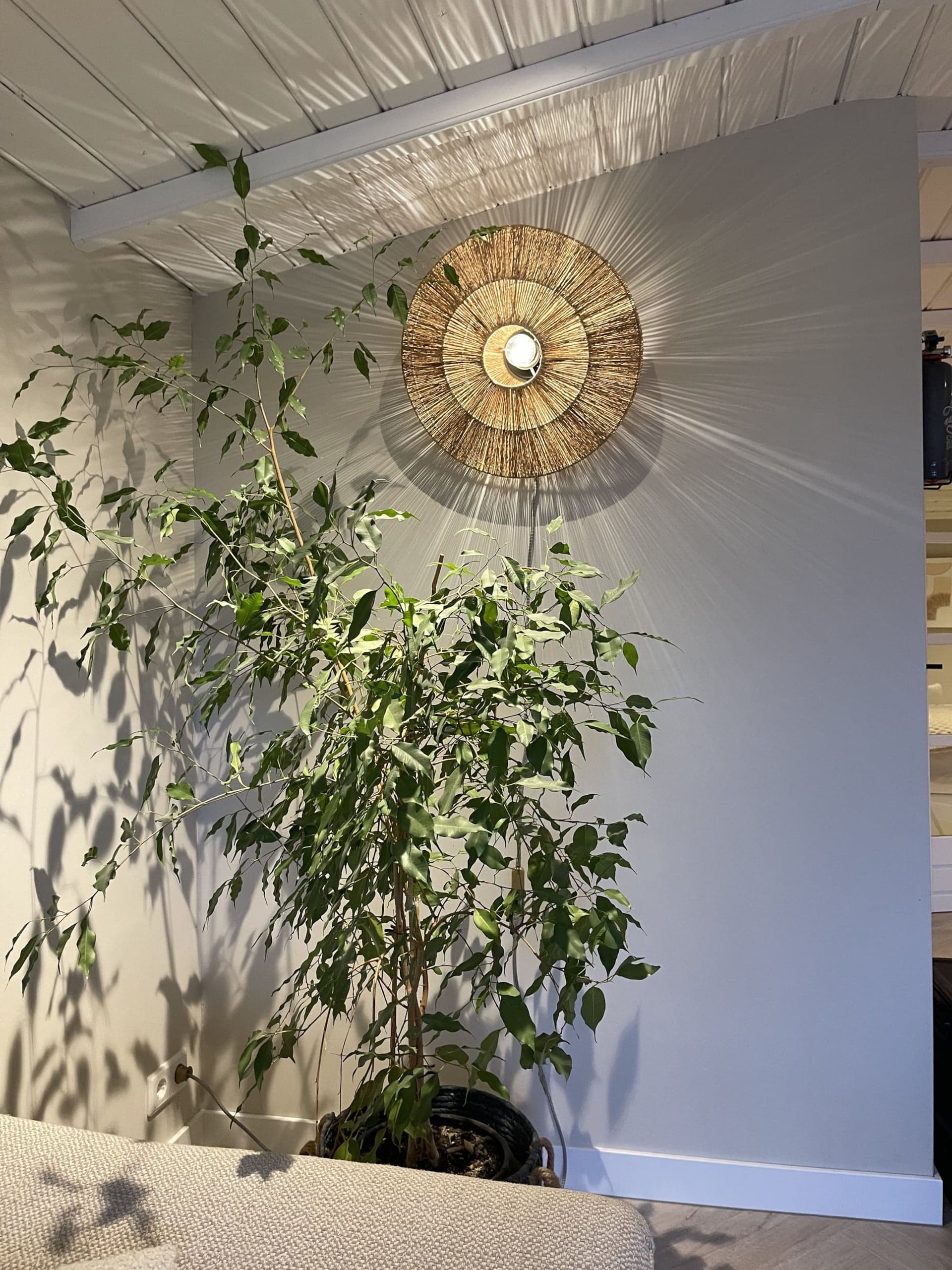 Plant en wandlamp in de woonkamer van Oester