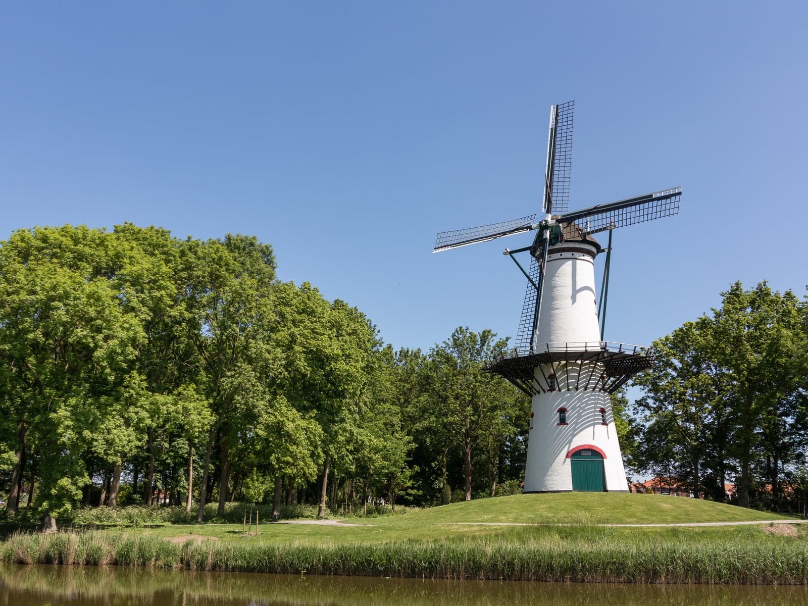 Witte stellingmolen De Hoop tussen de bomen aan het water in Tholen-stad