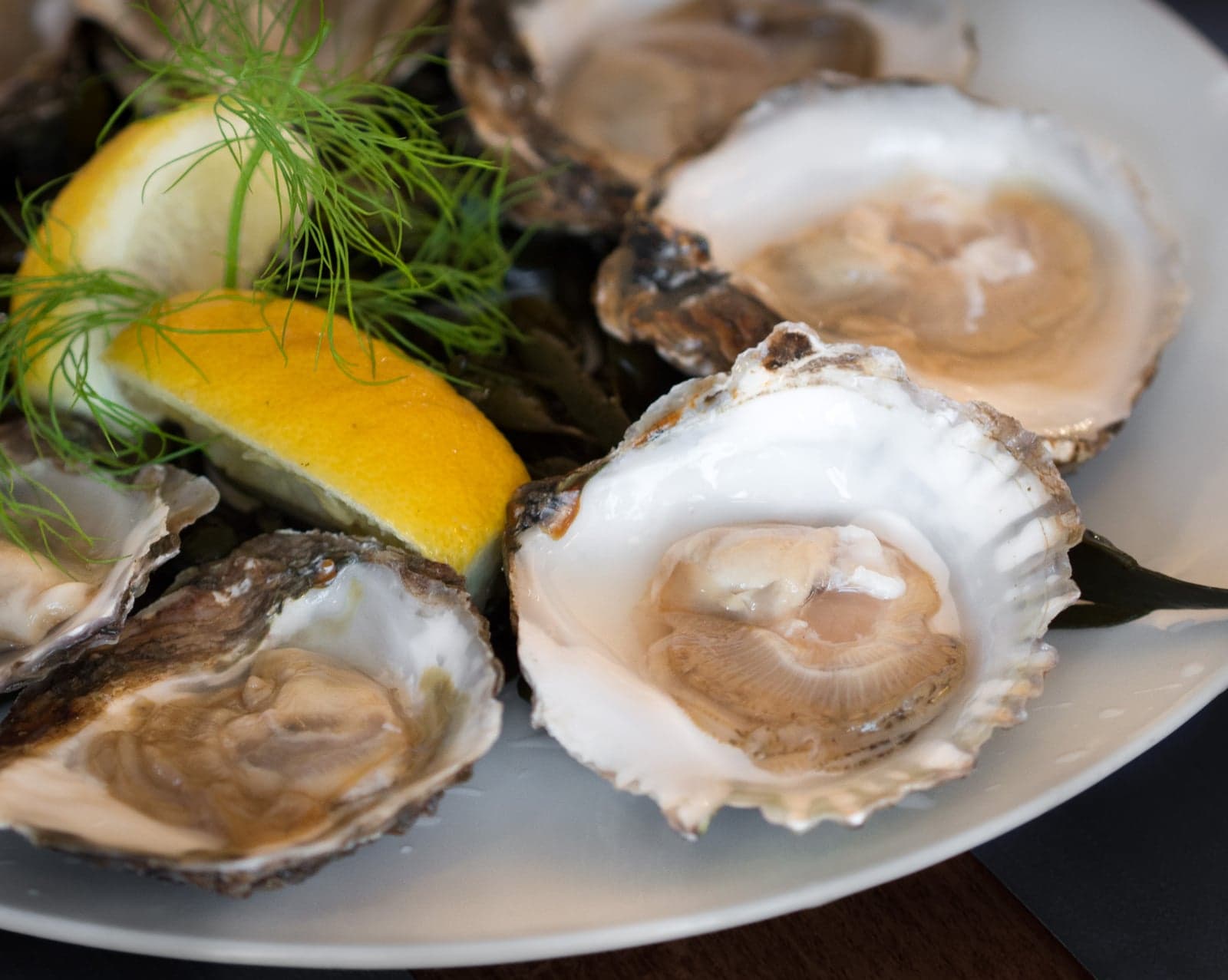 Bord met platte Zeeuwse oesters, citroen en dille