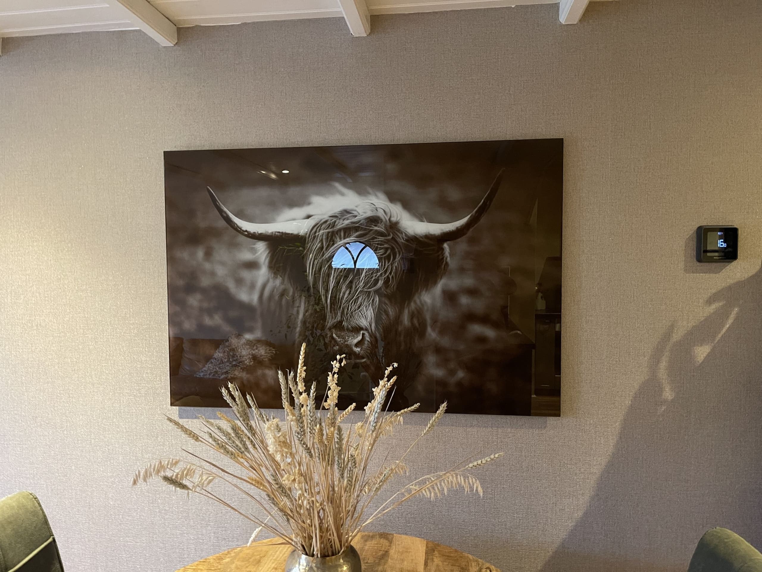 Schilderij van een Schotse hooglander in Zeelicht