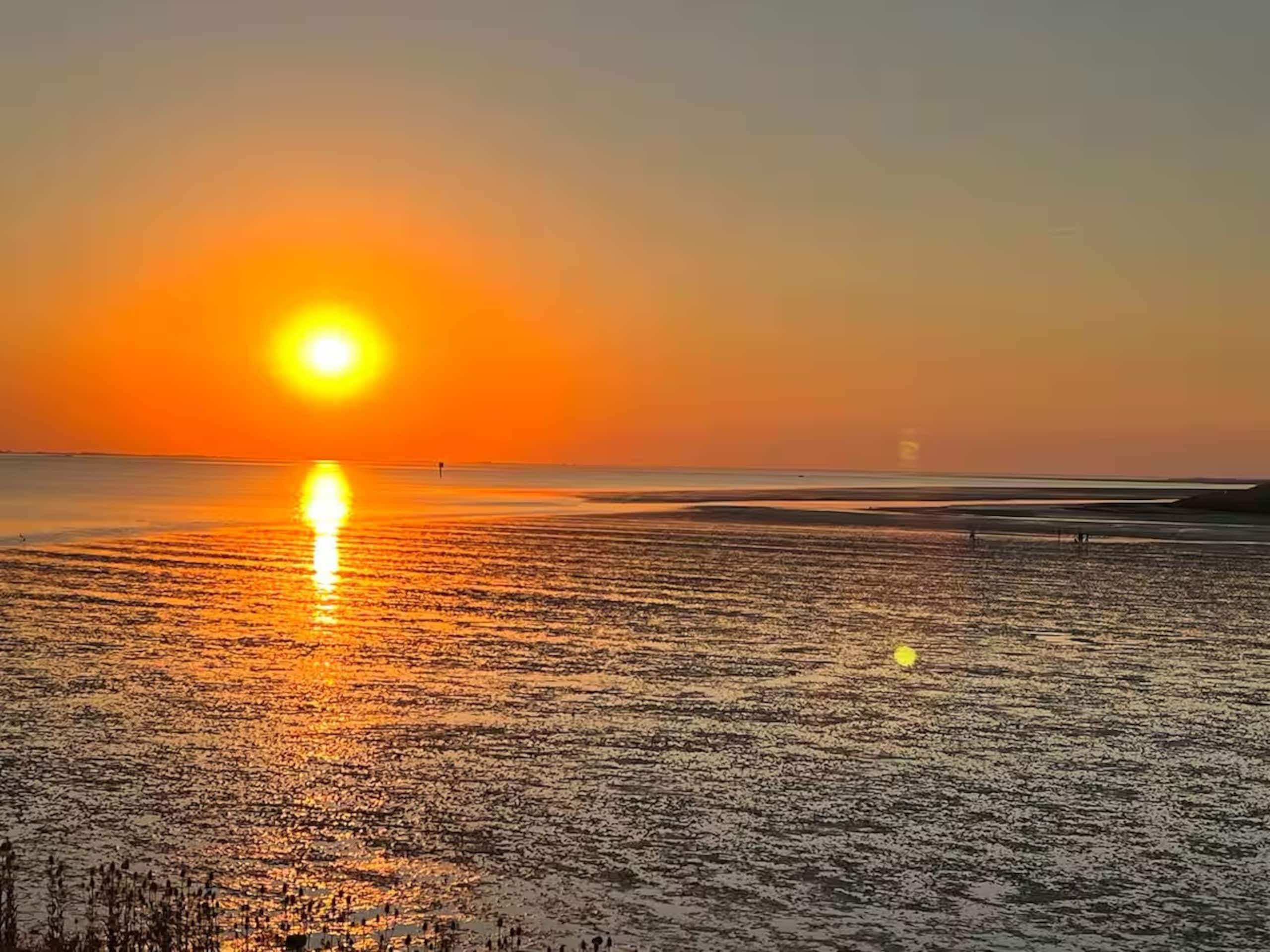 Oranje zonsondergang boven het wad